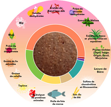 Graphique nutrition