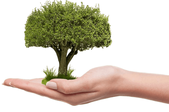 Protection de la nature
