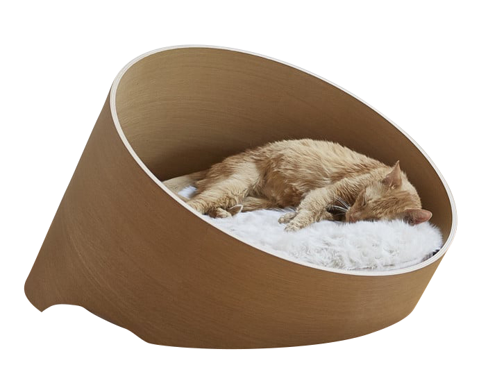 Croquettes excellence Chaton